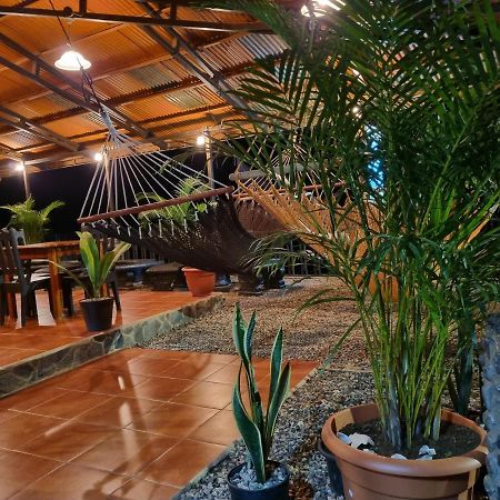 Cabinas Pura Vida B&B Tour Operator Drake Bay Luaran gambar
