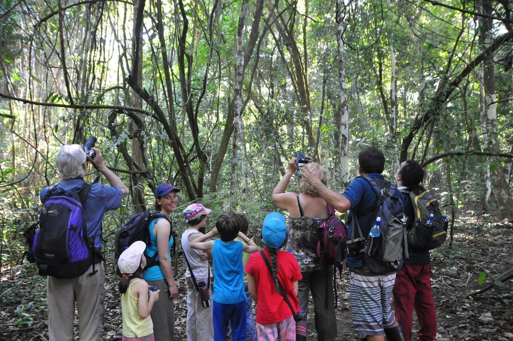 Cabinas Pura Vida B&B Tour Operator Drake Bay Luaran gambar