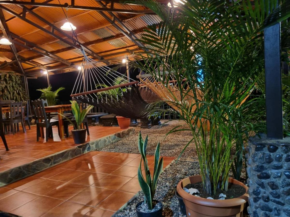 Cabinas Pura Vida B&B Tour Operator Drake Bay Luaran gambar