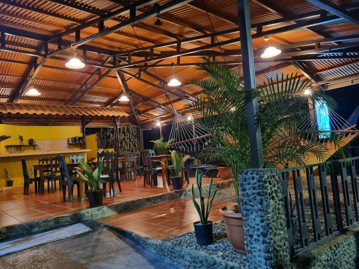 Cabinas Pura Vida B&B Tour Operator Drake Bay Luaran gambar