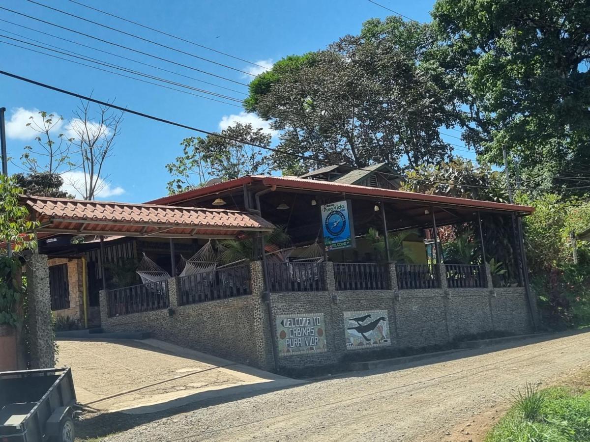 Cabinas Pura Vida B&B Tour Operator Drake Bay Luaran gambar