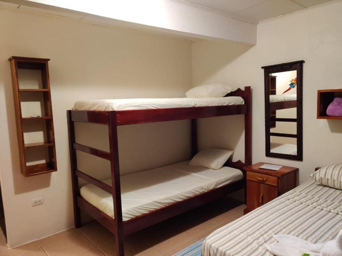 Cabinas Pura Vida B&B Tour Operator Drake Bay Luaran gambar