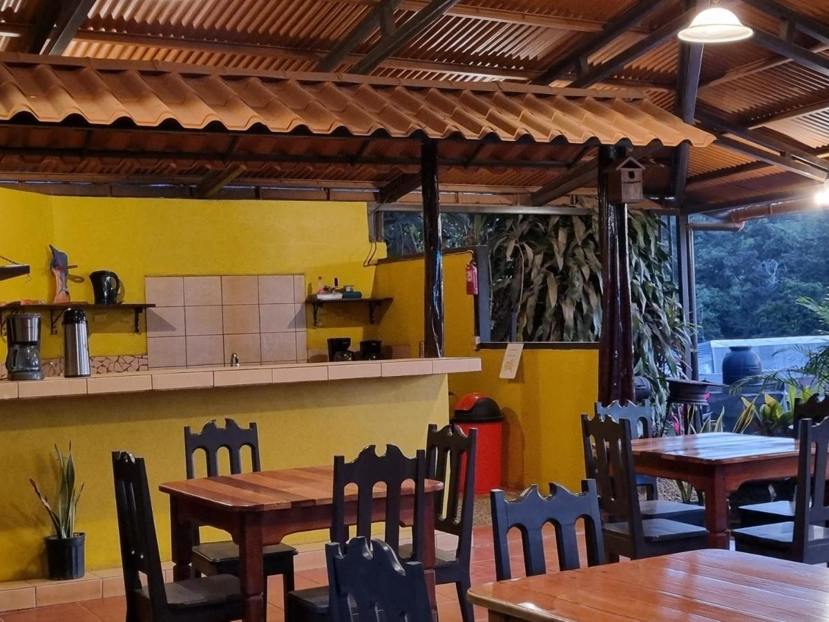 Cabinas Pura Vida B&B Tour Operator Drake Bay Luaran gambar