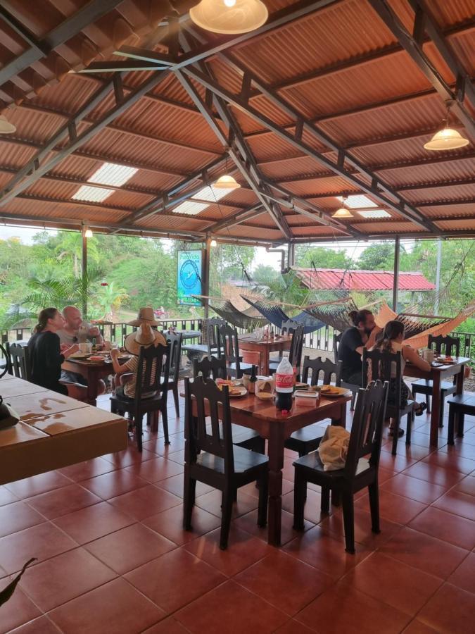 Cabinas Pura Vida B&B Tour Operator Drake Bay Luaran gambar