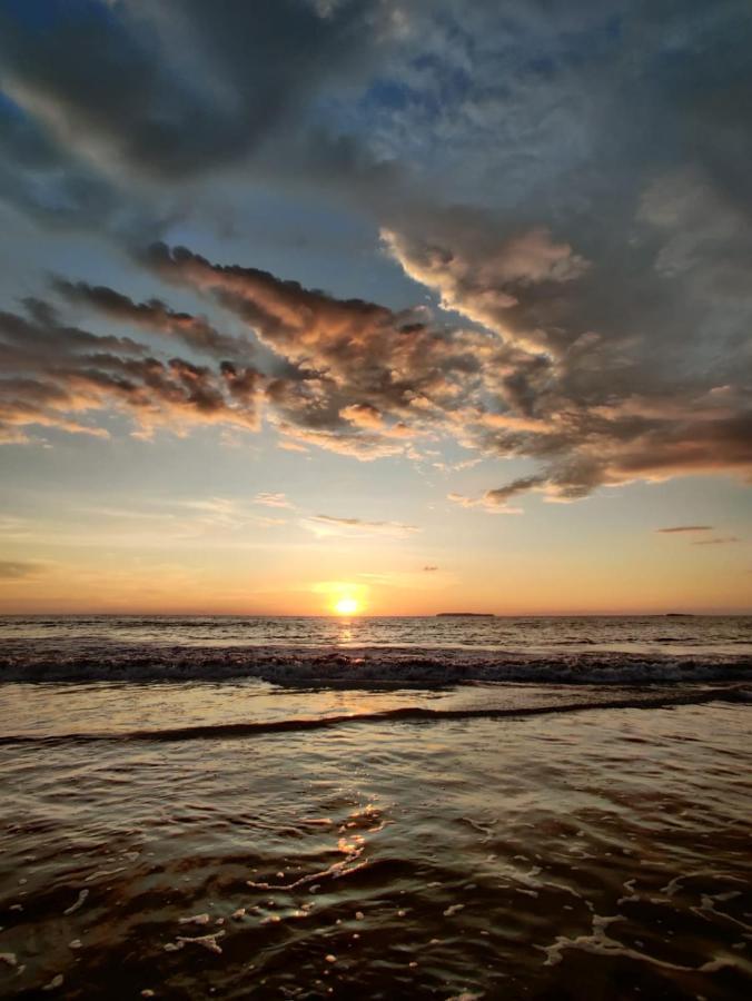 Cabinas Pura Vida B&B Tour Operator Drake Bay Luaran gambar