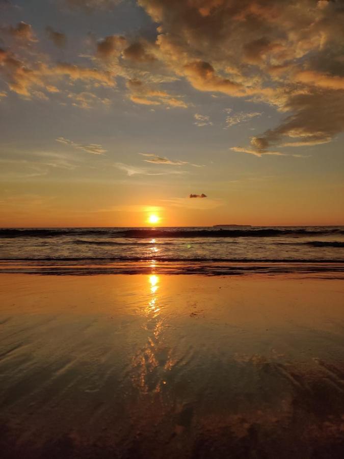 Cabinas Pura Vida B&B Tour Operator Drake Bay Luaran gambar