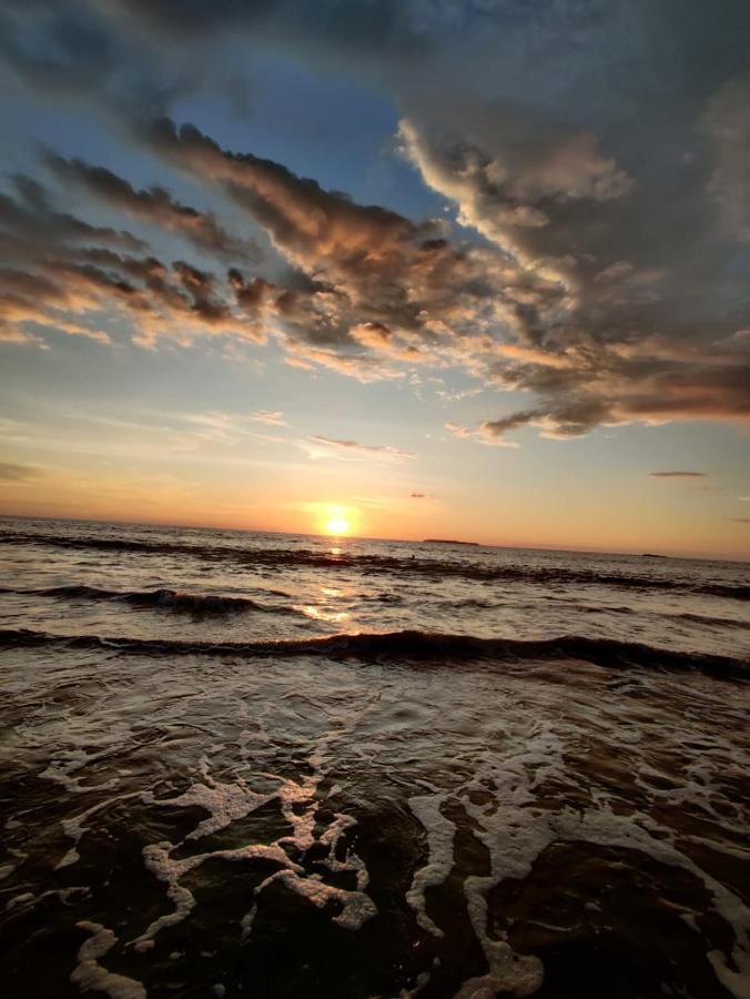 Cabinas Pura Vida B&B Tour Operator Drake Bay Luaran gambar