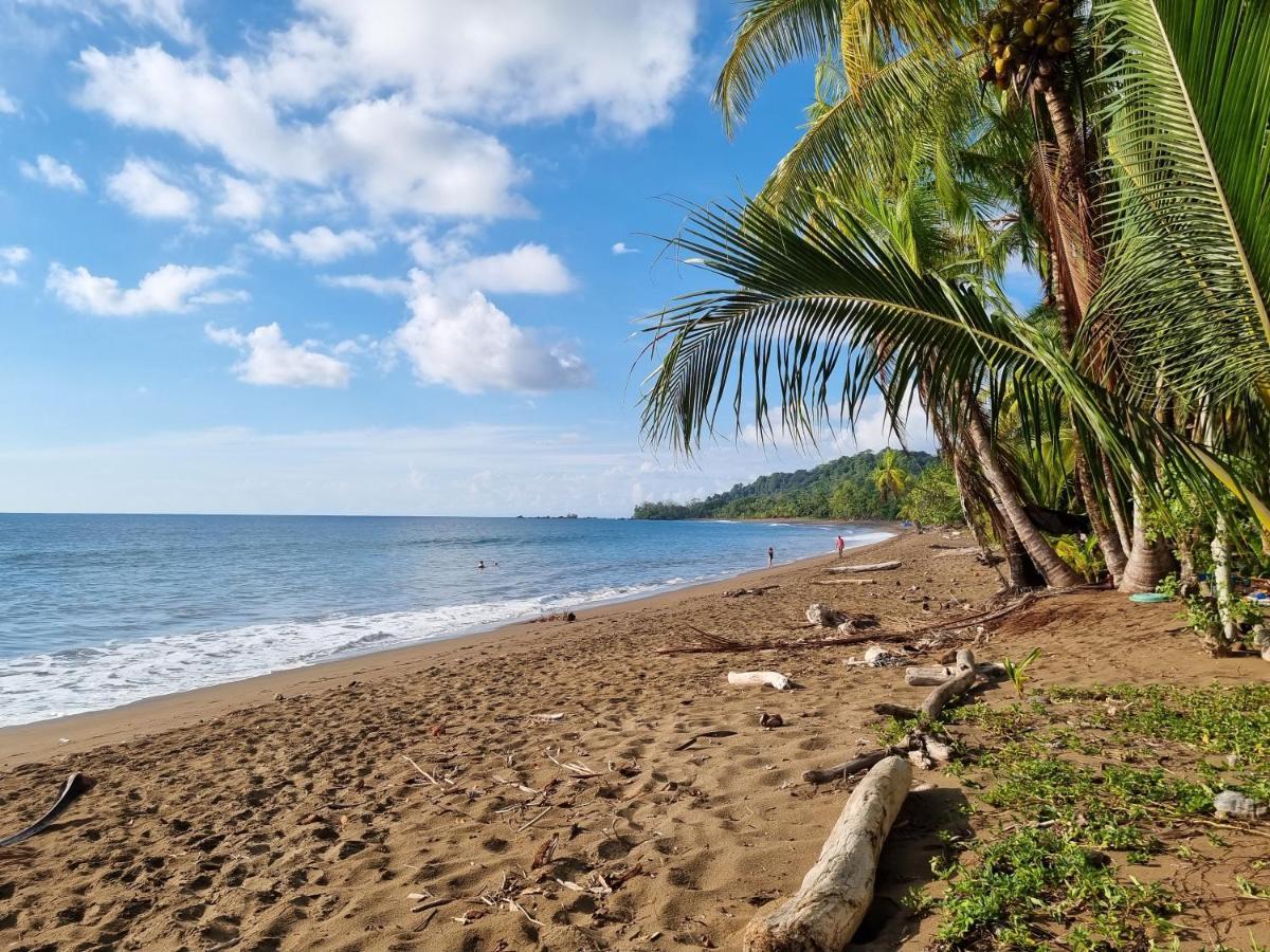 Cabinas Pura Vida B&B Tour Operator Drake Bay Luaran gambar