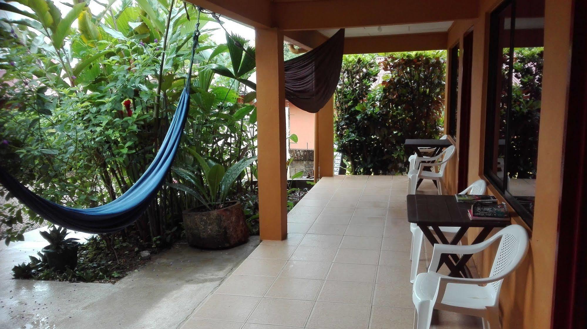 Cabinas Pura Vida B&B Tour Operator Drake Bay Luaran gambar