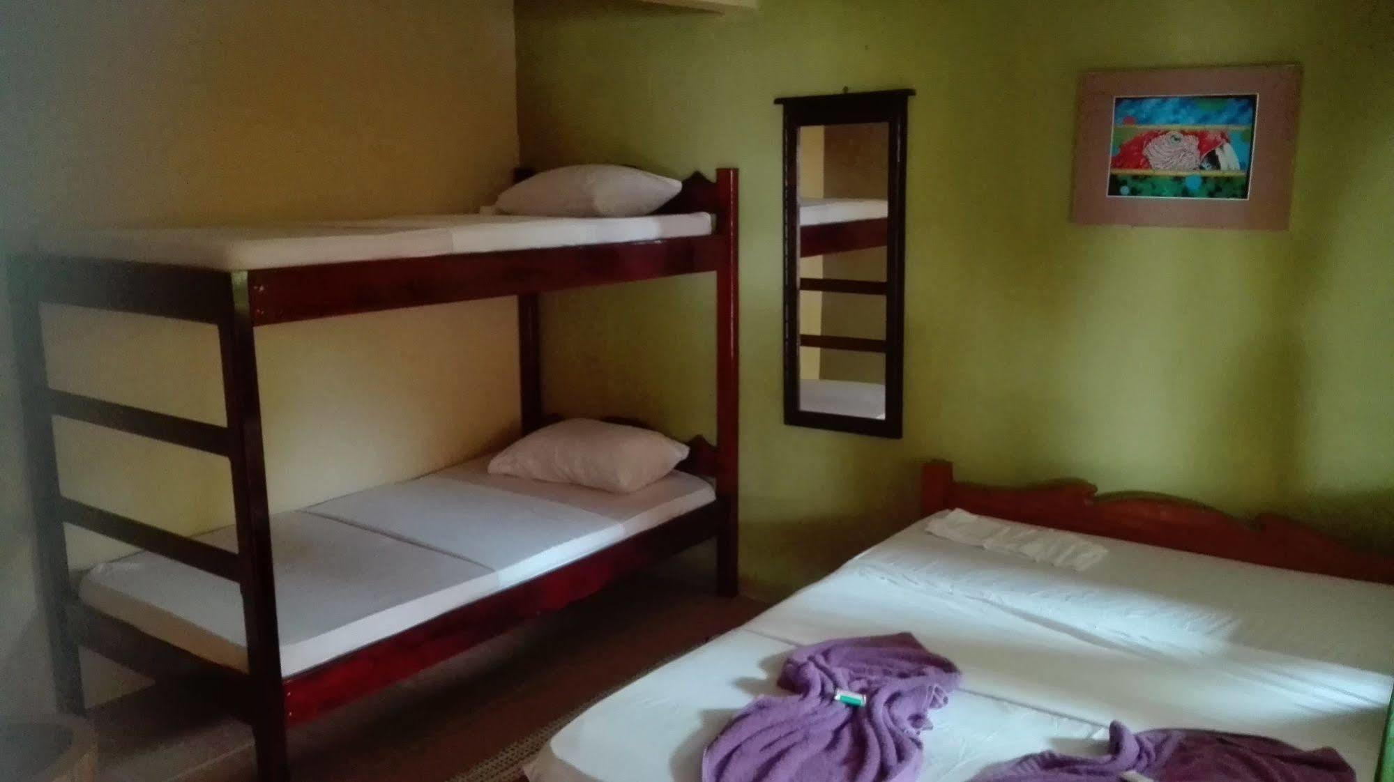 Cabinas Pura Vida B&B Tour Operator Drake Bay Luaran gambar