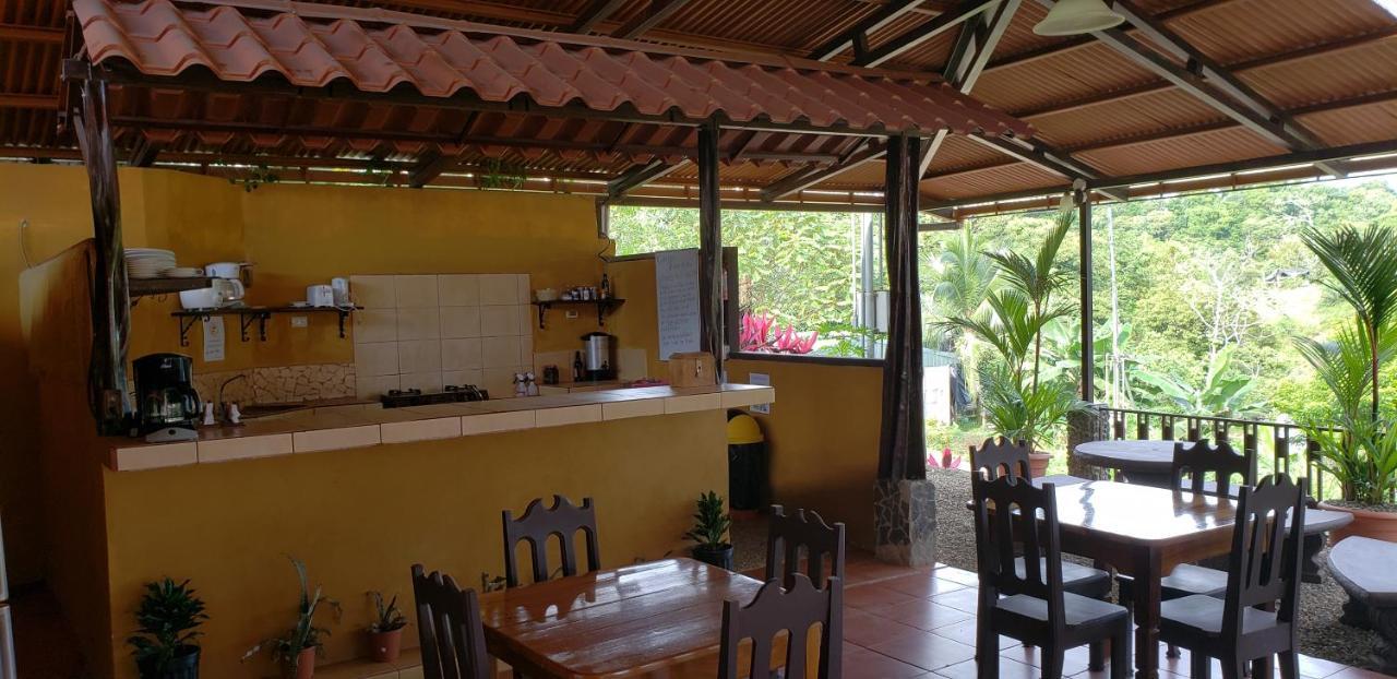 Cabinas Pura Vida B&B Tour Operator Drake Bay Luaran gambar