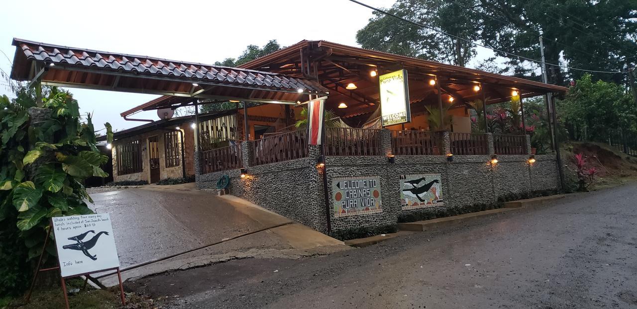 Cabinas Pura Vida B&B Tour Operator Drake Bay Luaran gambar