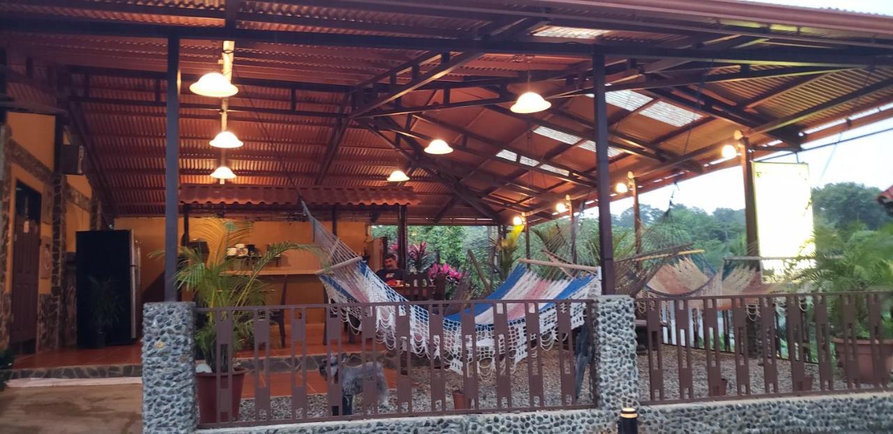 Cabinas Pura Vida B&B Tour Operator Drake Bay Luaran gambar